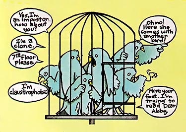A Flock of Blue Parakeets